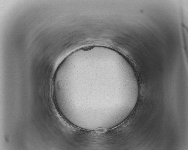 X0000100221520200806201456