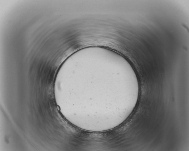 X0000100221521200806201456