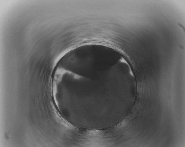 X0000100221522200806201456