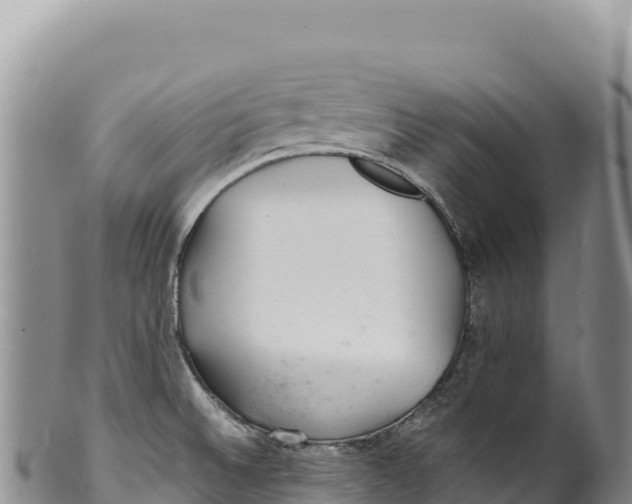 X0000100221524200806201456