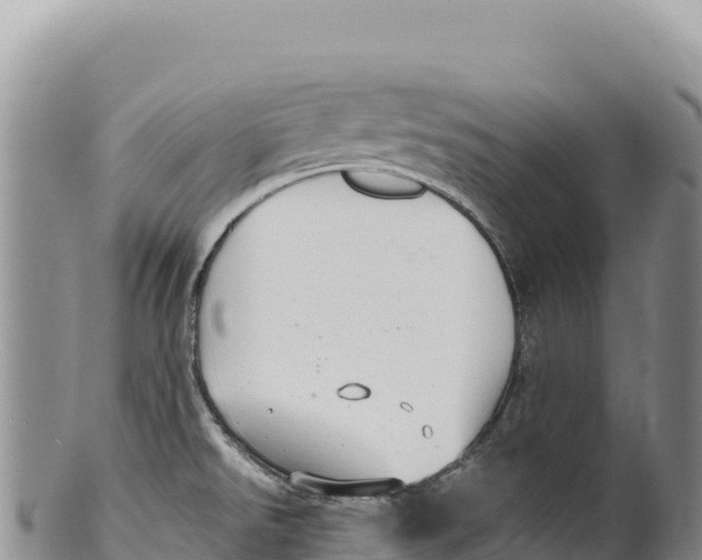 X0000100221526200806201456