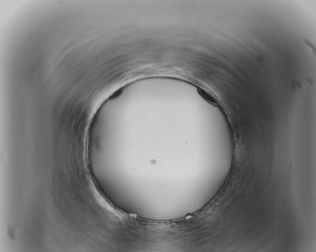 X0000100221528200806201456