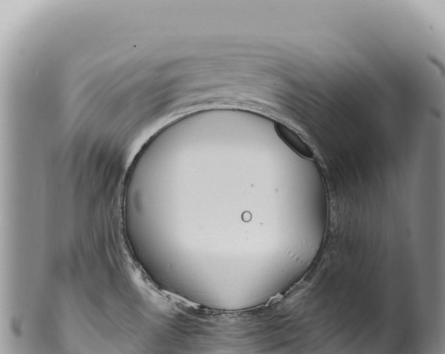 X0000100221530200806201456