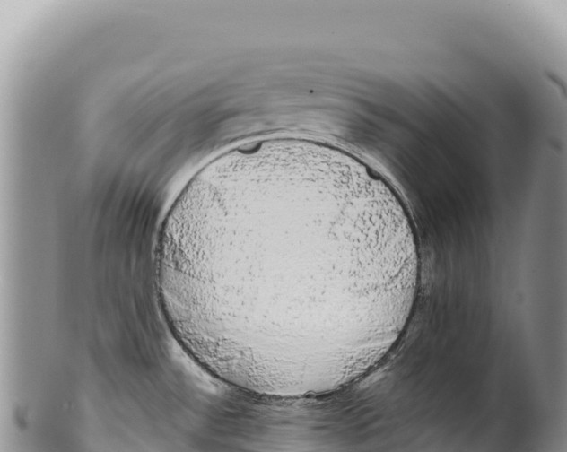 X0000100221532200806201456