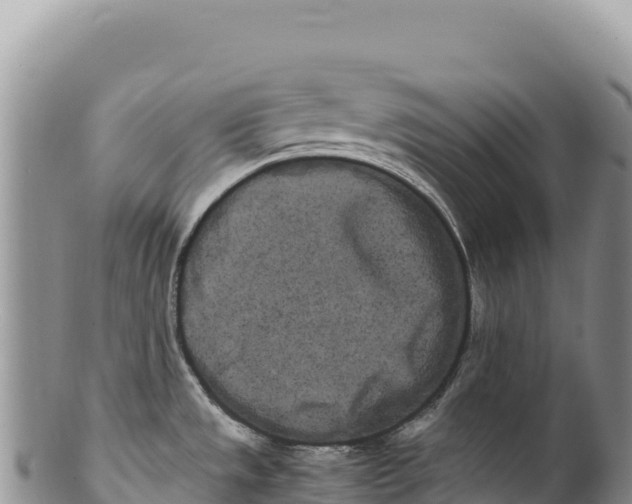 X0000100221533200806201456