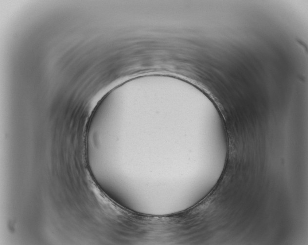 X0000100221534200806201456