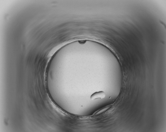 X0000100221535200806201456