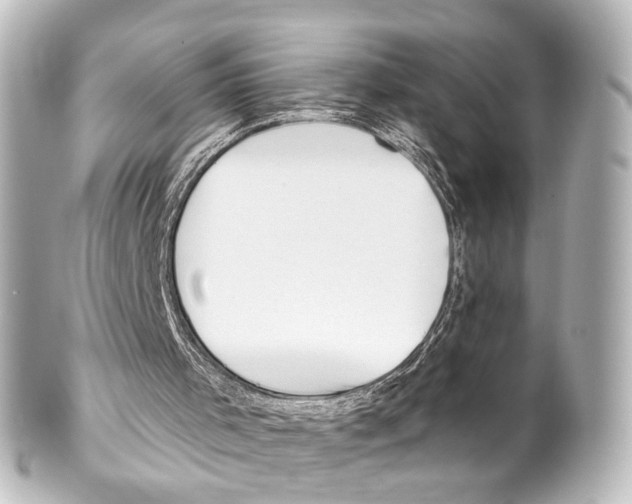 X0000100220001200806271738