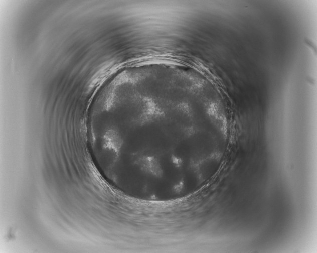 X0000100220002200806271738