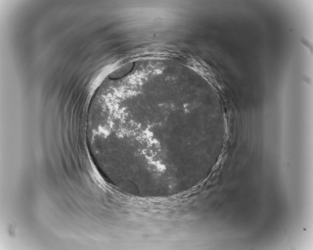 X0000100220003200806271738