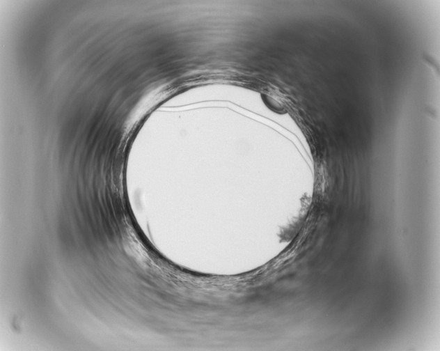 X0000100220004200806271738