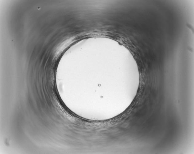 X0000100220005200806271737