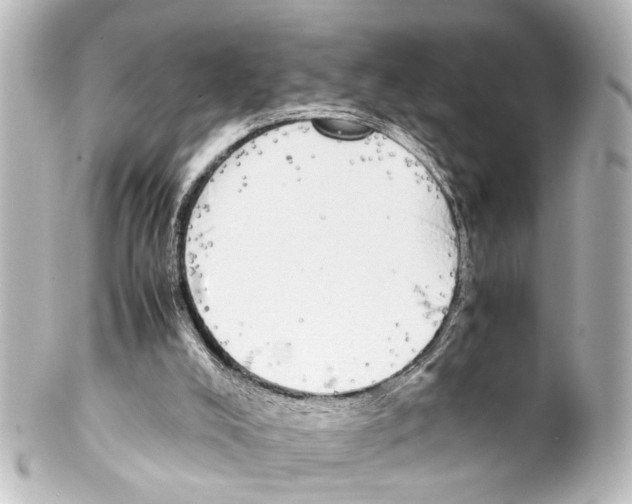 X0000100220008200806271737