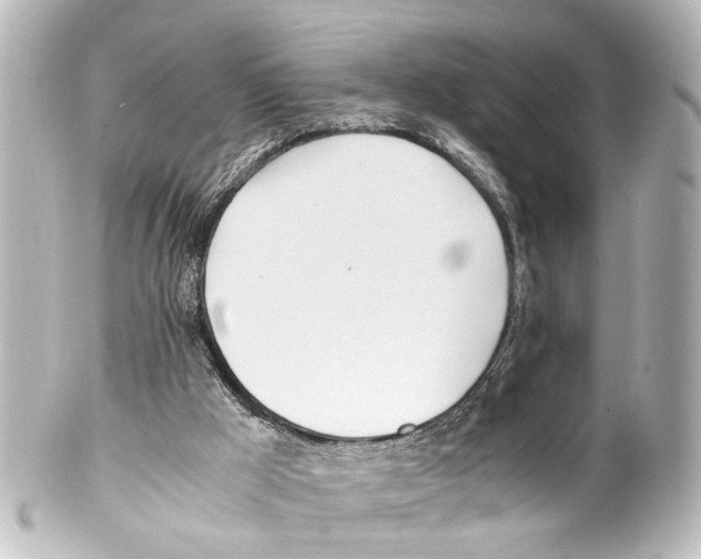 X0000100220009200806271737