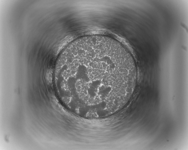 X0000100220010200806271737