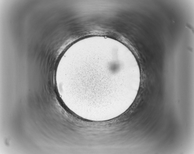 X0000100220011200806271737