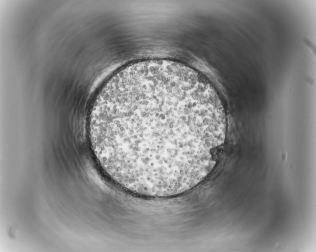 X0000100220012200806271737