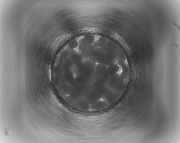 X0000100220014200806271737