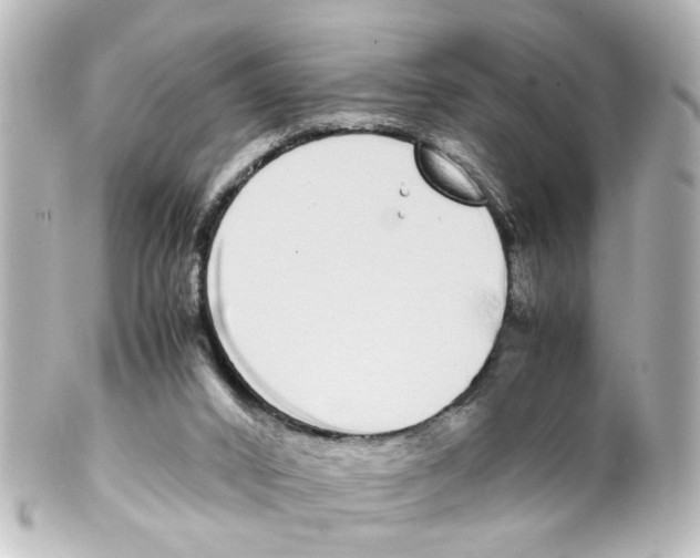 X0000100220016200806271737