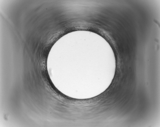 X0000100220017200806271737