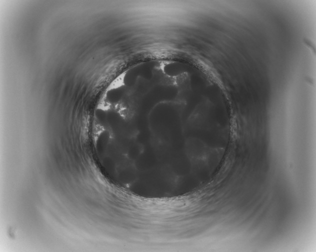 X0000100220018200806271737