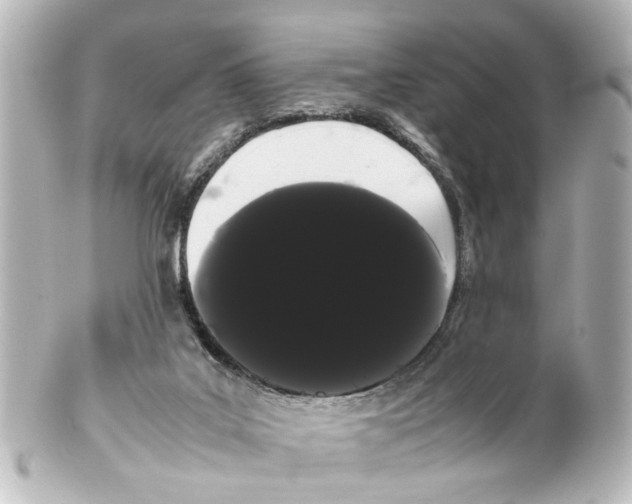 X0000100220019200806271737