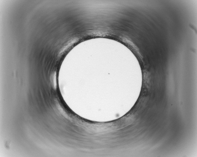 X0000100220020200806271737