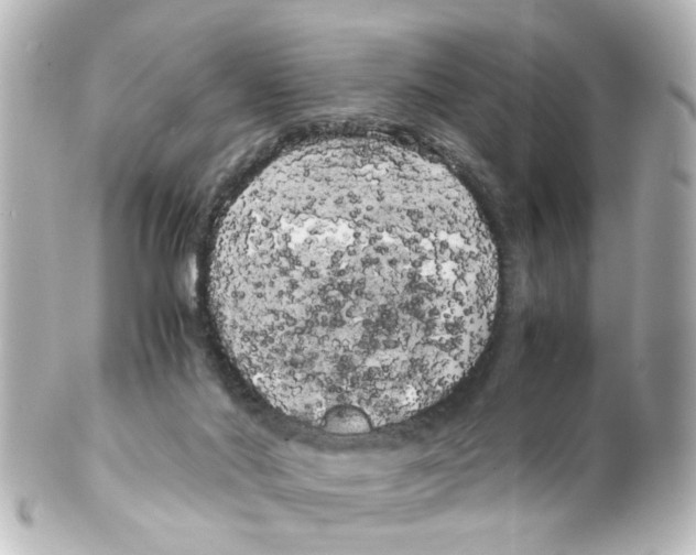 X0000100220022200806271737