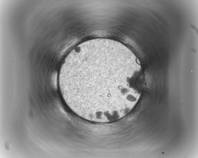 X0000100220024200806271737