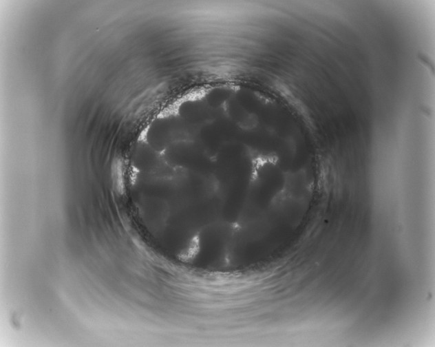 X0000100220026200806271737