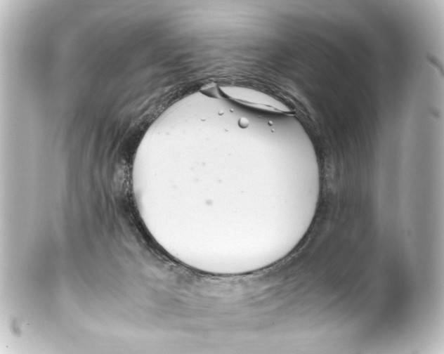 X0000100220029200806271737