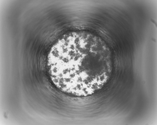 X0000100220030200806271737