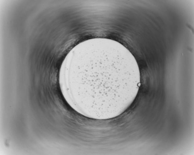 X0000100220032200806271737