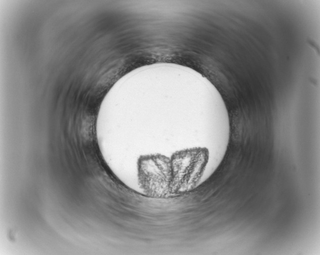 X0000100220034200806271737