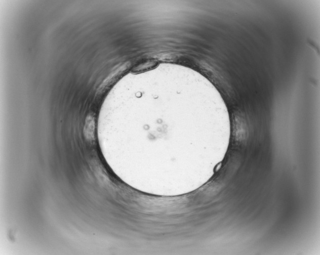 X0000100220036200806271737