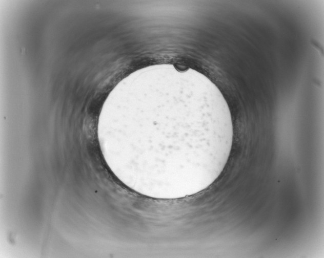 X0000100220037200806271737