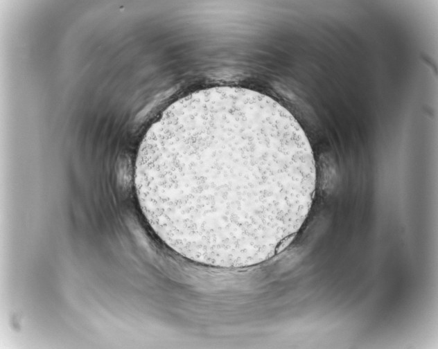 X0000100220040200806271737