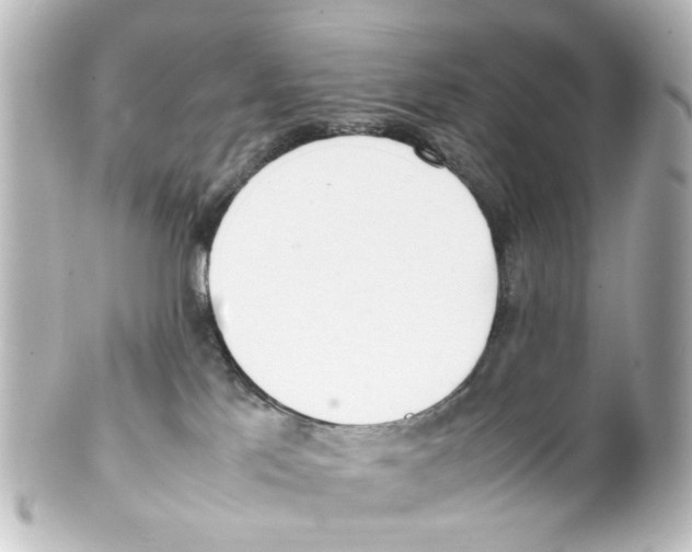 X0000100220041200806271737