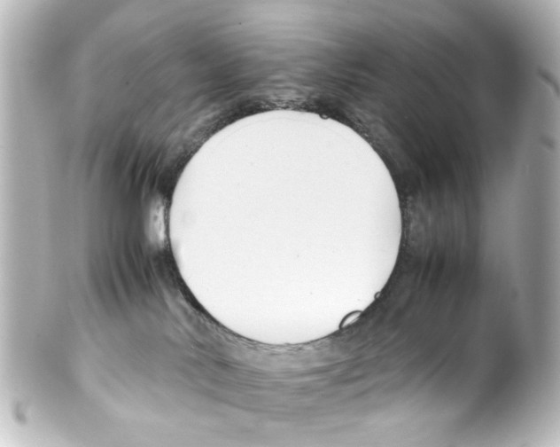 X0000100220042200806271737