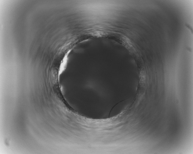 X0000100220043200806271737