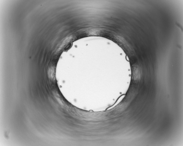 X0000100220044200806271737