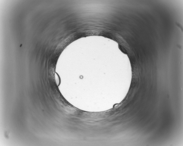 X0000100220045200806271737