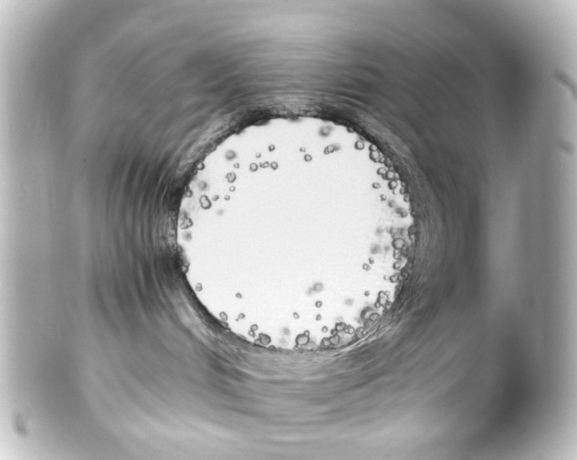 X0000100220048200806271737