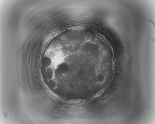 X0000100220049200806271736