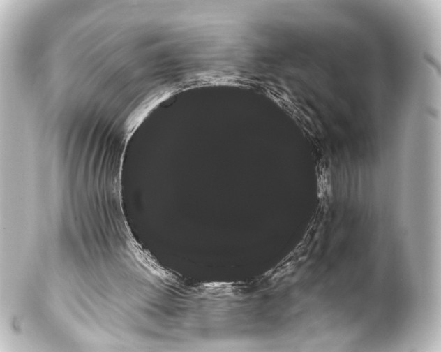 X0000100220052200806271736