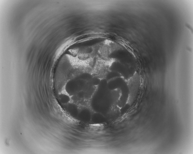 X0000100220053200806271736