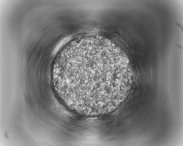 X0000100220054200806271736