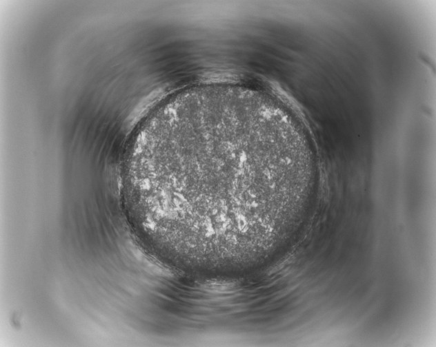 X0000100220059200806271736