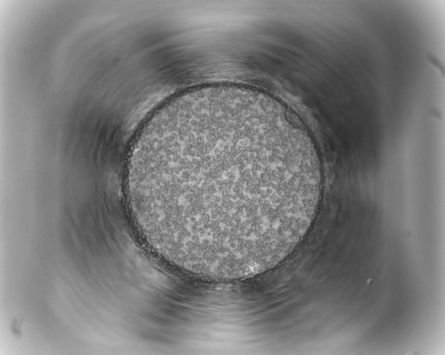 X0000100220060200806271736