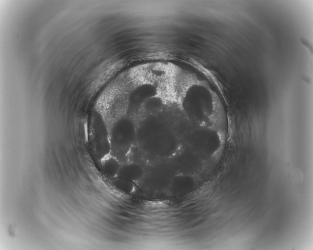 X0000100220061200806271736